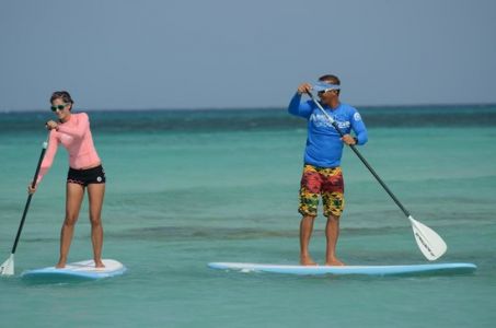 Aruba Surf & Paddle School 