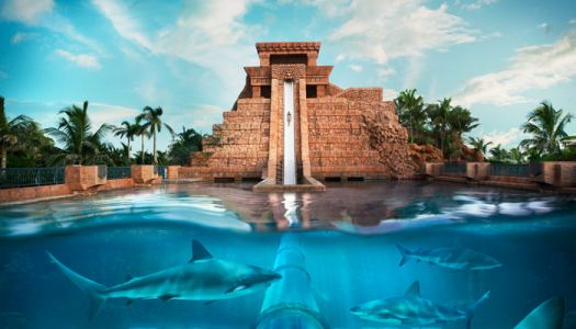 Atlantis Paradise Island