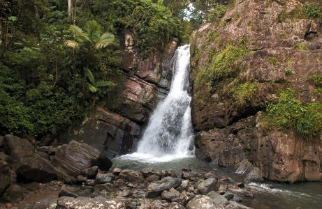 El Yunque National Forest